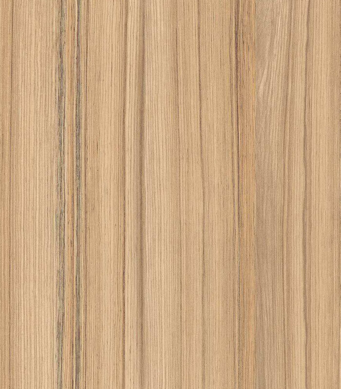 H 3012 ST22 COCO BOLO