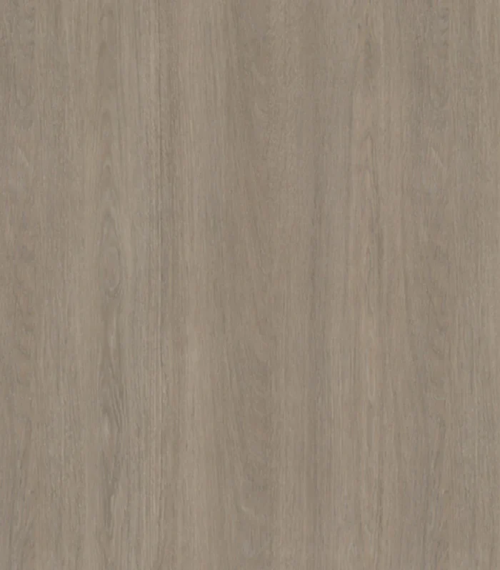 H 3146 ST19 HRAST LORENZO BEZ