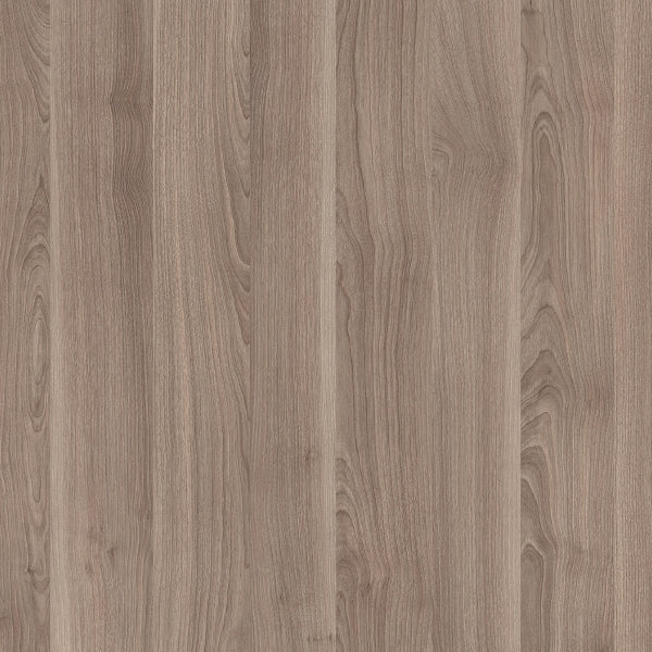 t-395-frz-monsoon-birch